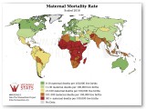 Estadística de mortalidad materna