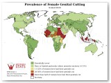 Female Genital Cutting Statistic