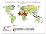 Female Genital Cutting Statistic