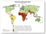 Maternal Mortality Statistic